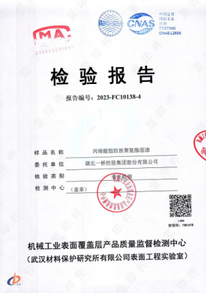 Unduh 检测报告 secara gratis