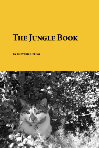 Скачать The Jungle Book бесплатно