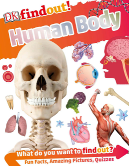 Descargar ezcpd human.pdf gratis