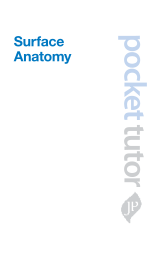 免费下载 sapt.pdf